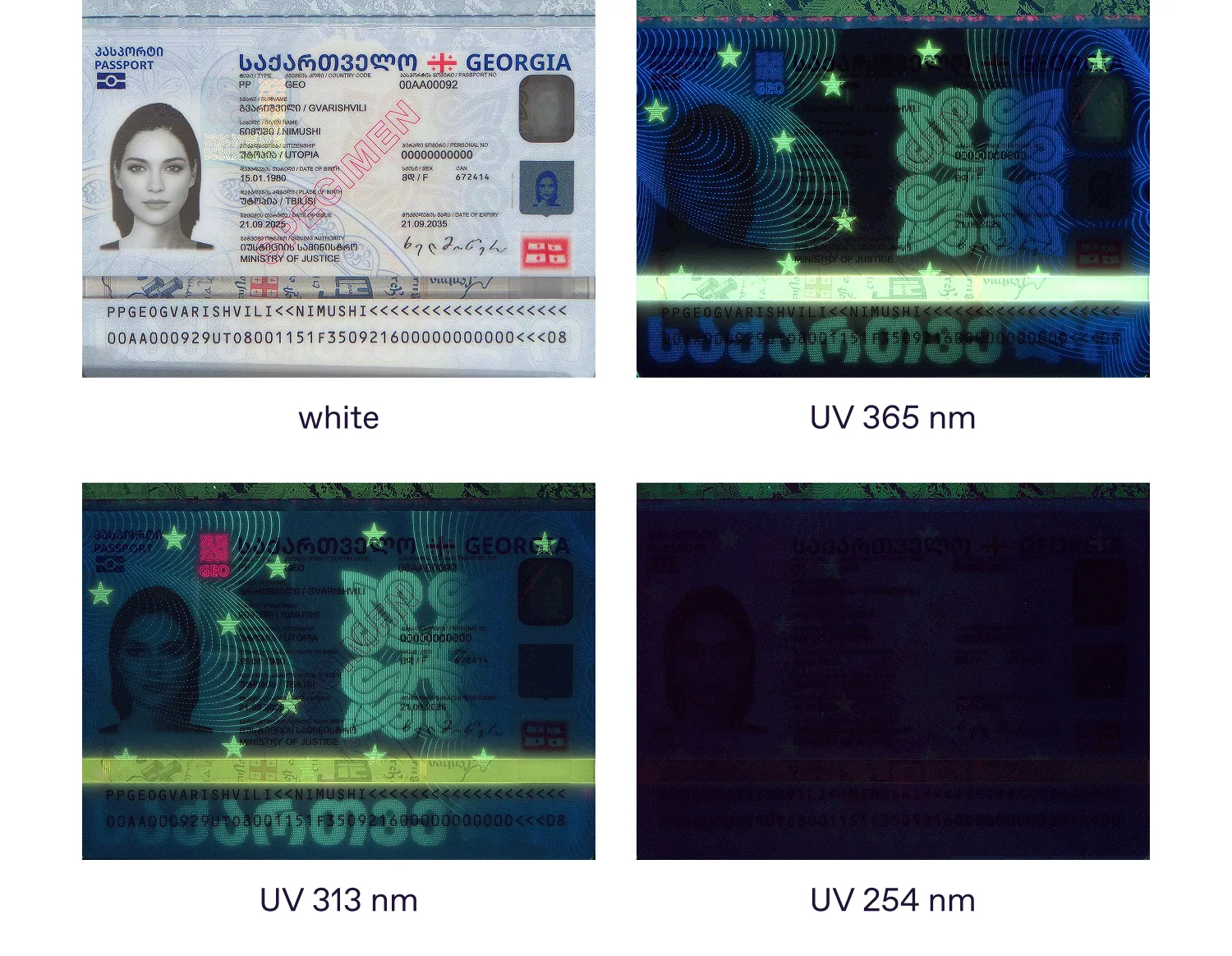 2025 Georgia passport